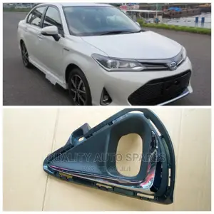 Toyota Axio 2019 Foglight Cover (Set)