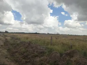 32 Acres Narumoru/ Blueline