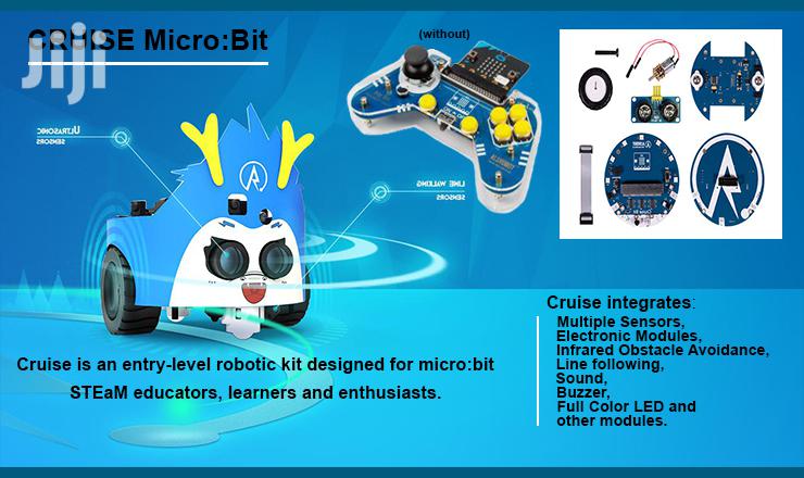 Arduino Microbit, Raspberry Pi Robots
