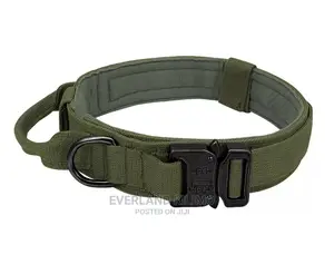 Tactical Collar - Heavy Duty