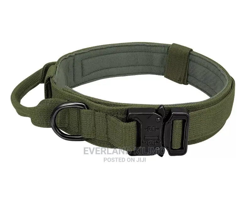 Tactical Collar - Heavy Duty
