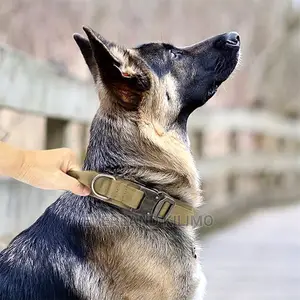 Tactical Collar - Heavy Duty