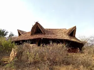 Makuti Roof Construction and Suppliers