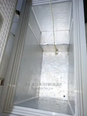 Deep Freezer 300l