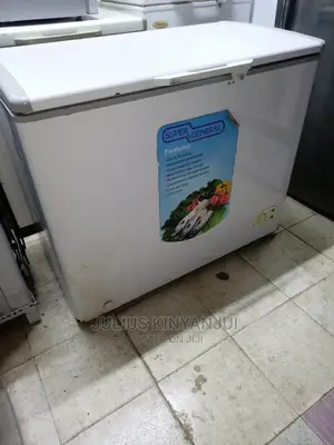Deep Freezer 300l