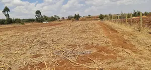 6 Points for Sale in Lemook Kapseret Eldoret