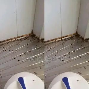 Kitchen Fumigation in Kariobangi