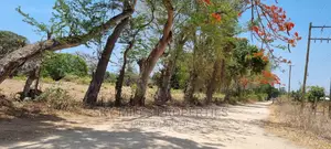 75 Acre Land on Sale in Vipingo Kuruwitu