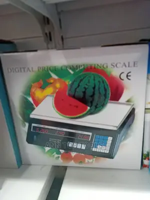 30 Kg Digital Computing Scale