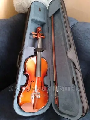 USA Full Size Violin
