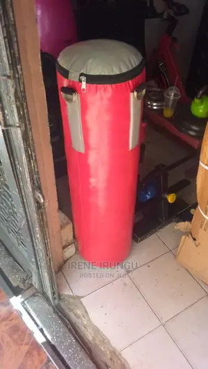40kgs Punching Bag