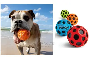 Dog Toy Ball. Extra Bouncy for Chasing Fun, Waboba Moon Ball