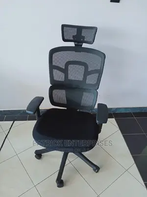 Imported Orthopedic Office Chair
