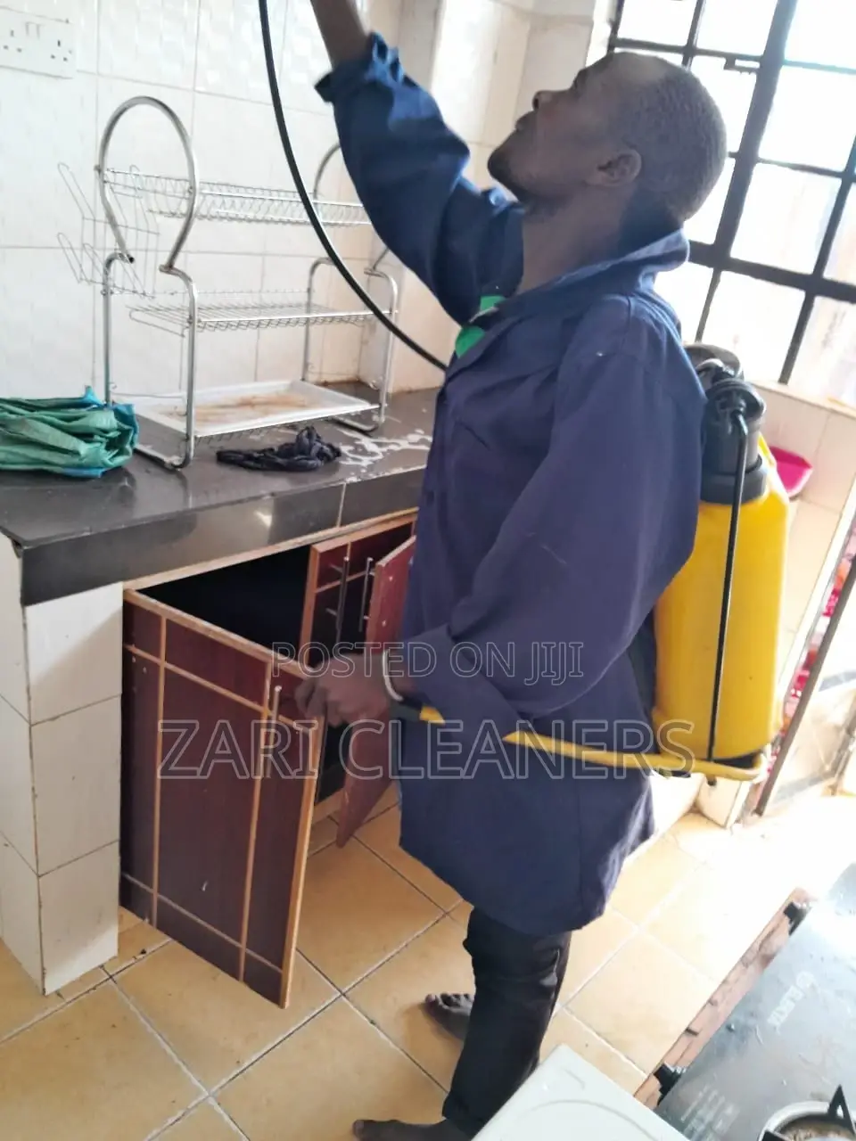 Pest Control Services_cocroaches and Bugs Control