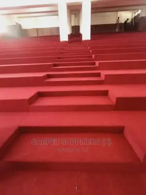 Wall To Wall Carpet