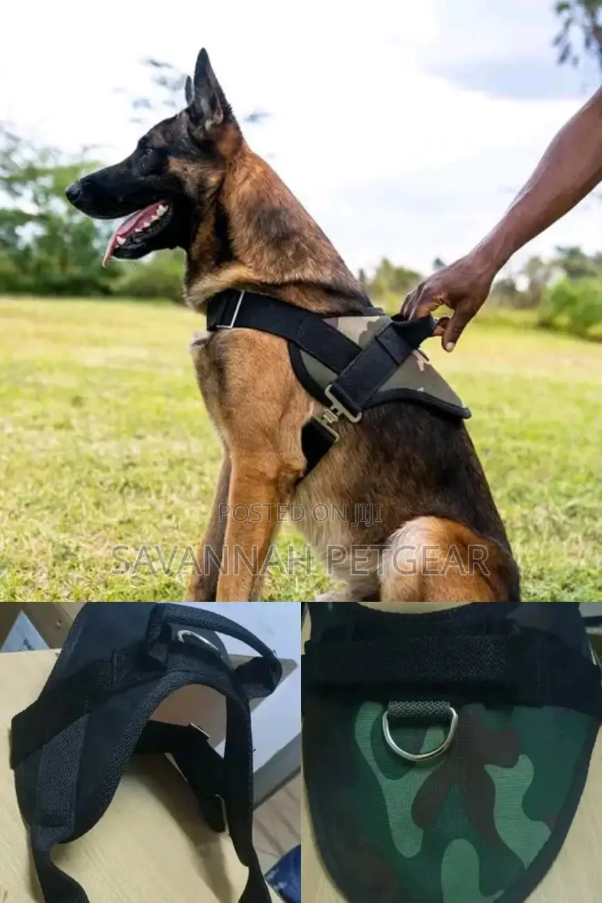 Original High Quality Dog Harness