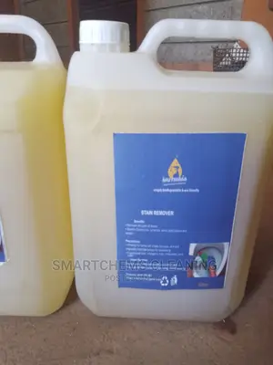 Toilet and Floor Cleaner