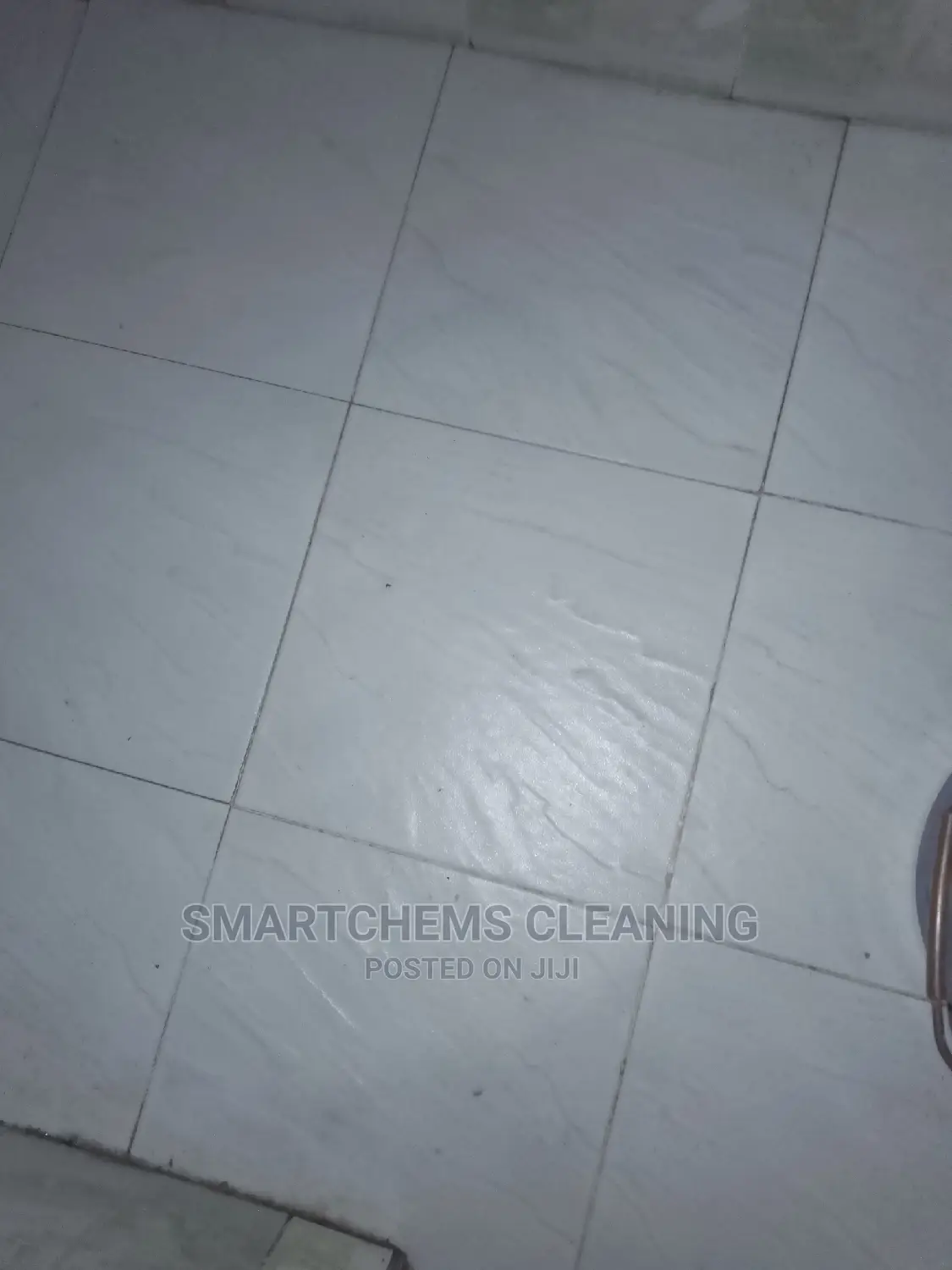Toilet and Floor Cleaner