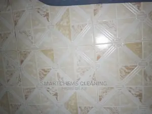 House Cleaning and Mopping