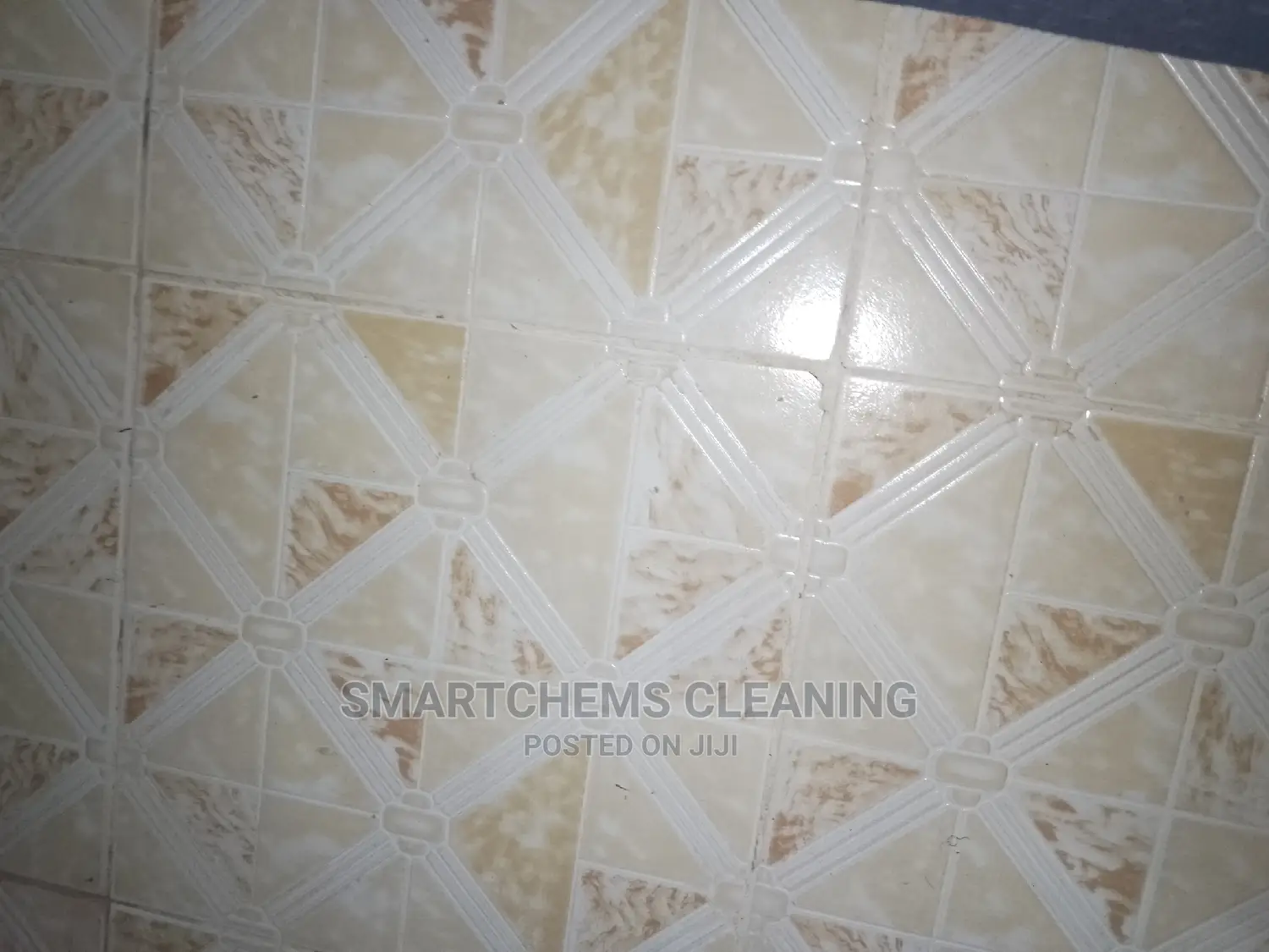 House Cleaning and Mopping