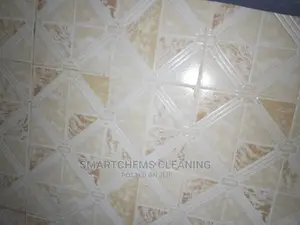 House Cleaning and Mopping