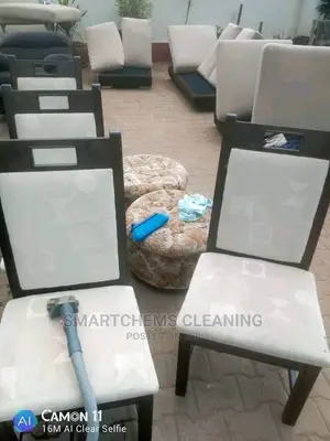 Dining Chairs Cleaning Pests Control