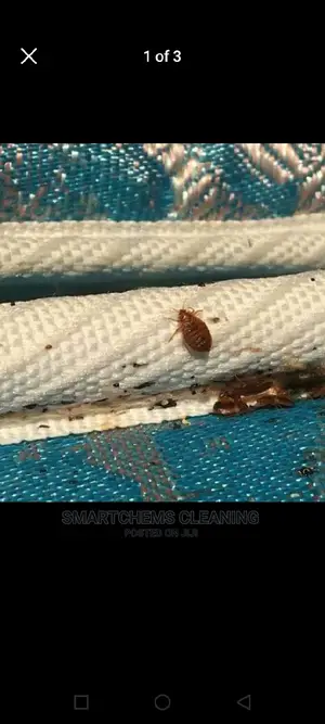Bedbugs Killer