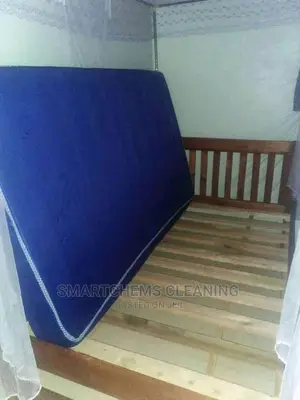 Bedbugs Killer