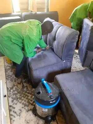 Living House Cleaning