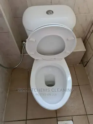 Living House Cleaning