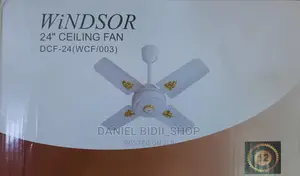 Windsor Ceiling Fan 24"