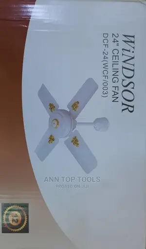 Windsor Ceiling Fan 24"