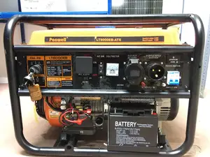 Pacwell Gasoline Generator With Ats