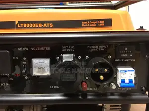Pacwell Gasoline Generator With Ats