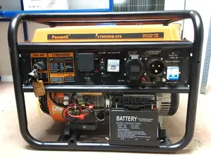 Pacwell Gasoline Generator With Ats