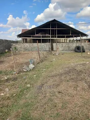 Farm for Sale