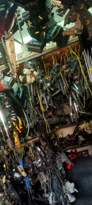 Ingnation Coils