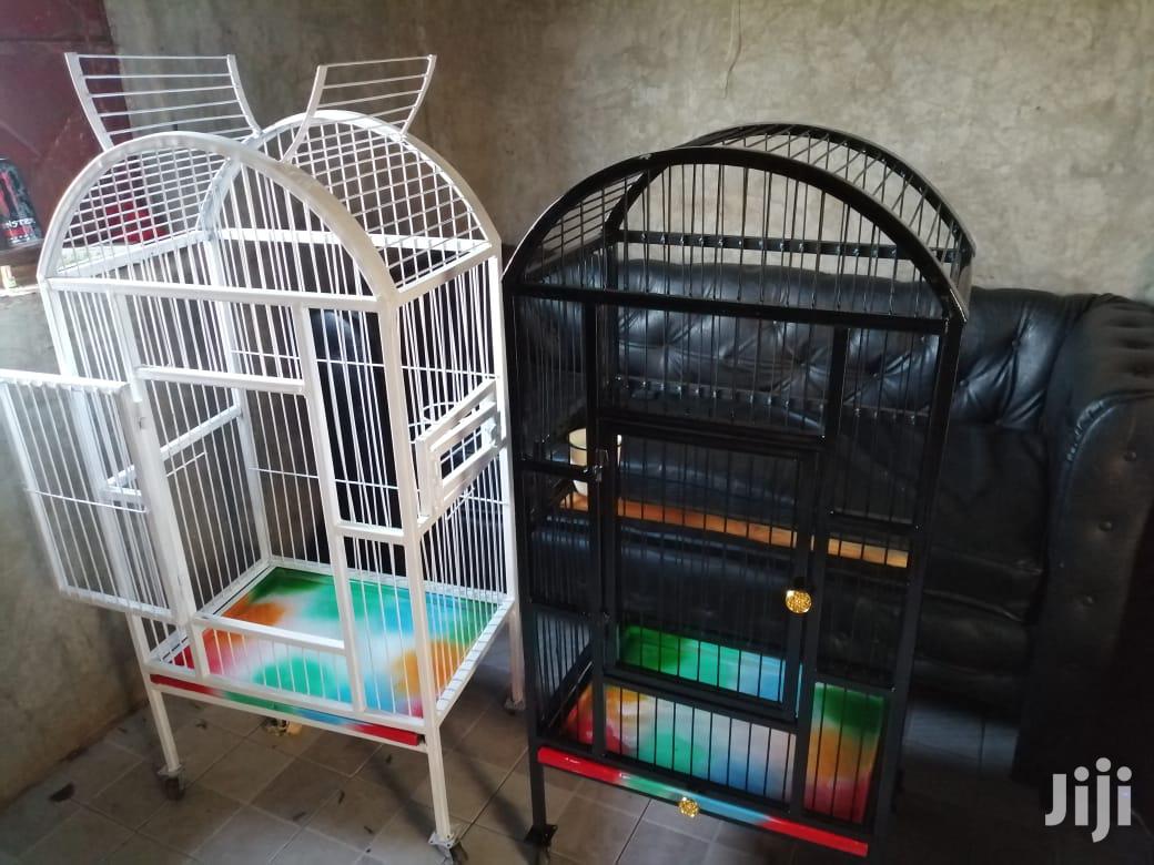 Pegions Parrot Cages