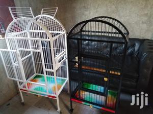 Pegions Parrot Cages
