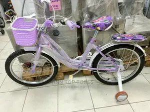 Princess Lady Bird Bikes 12"