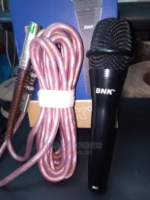 B5 Wired Microphone Vocal