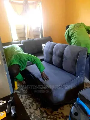 Sofa Sets Cleaning and Fumigation