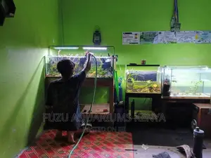 Aquarium Maintenance Services