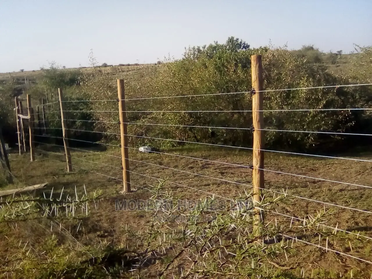 Electric Fence