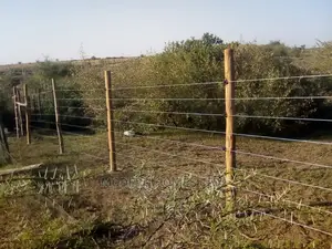 Electric Fence