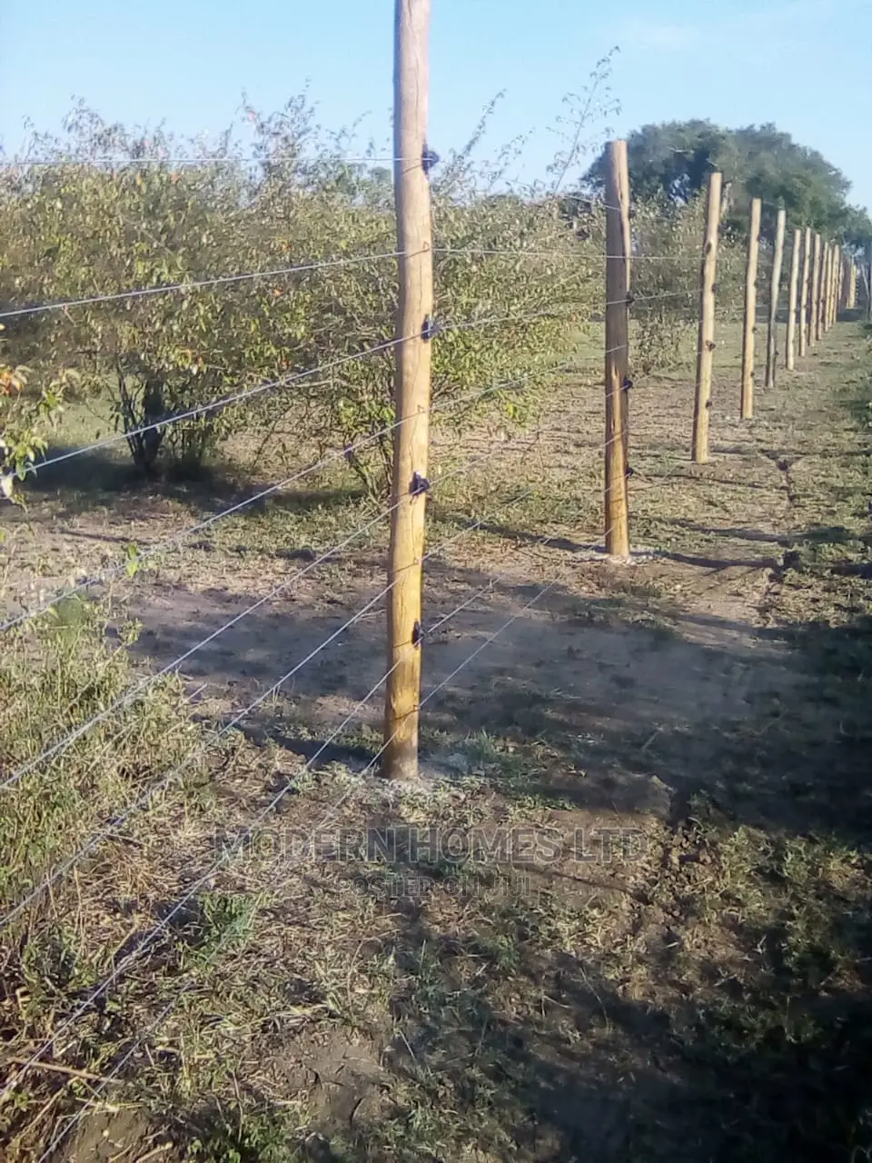 Electric Fence