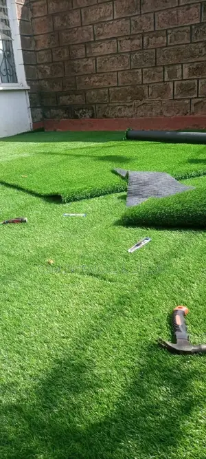 Grass Carpet Grass Carpet Grass Carpet Grass Carpet