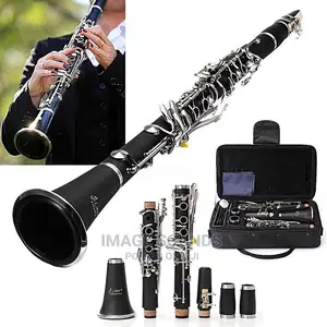 Professional Clarinet