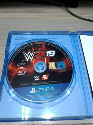 WWE 19 (Used)