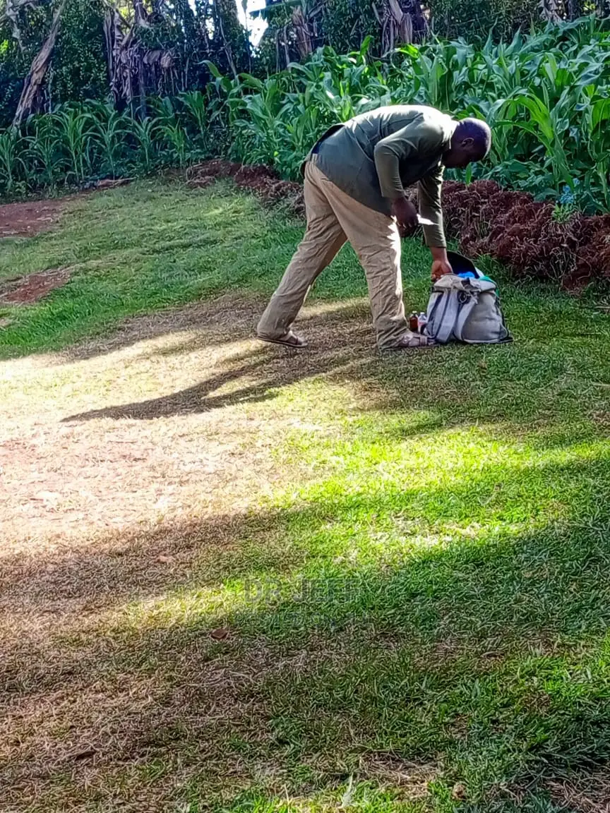 Veterinary Services And Dog Care